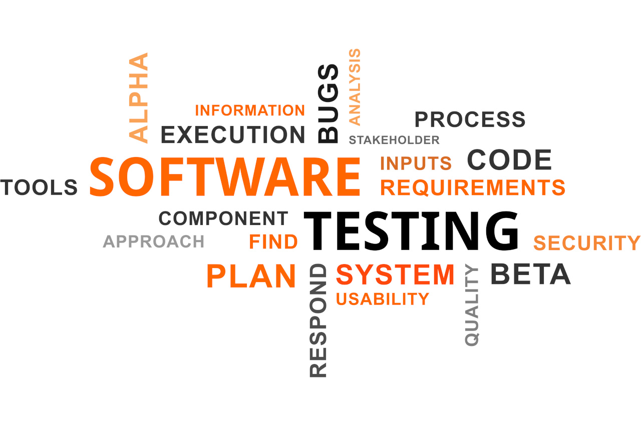Software Testing